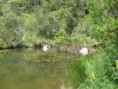 /album/litoral-/img-1048-jpg/