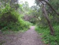 /album/litoral-/img-0950-jpg/